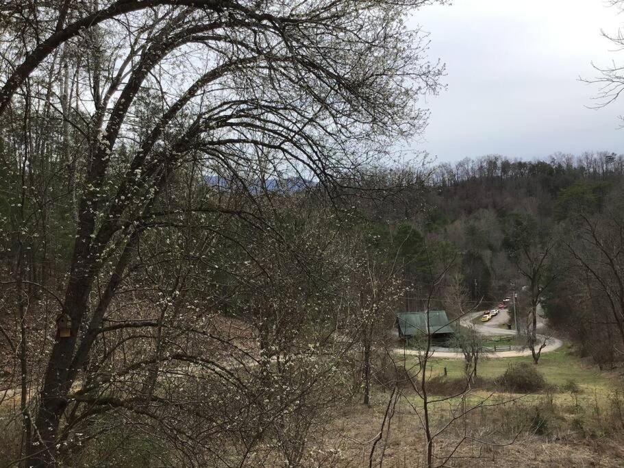 Dollywood-Brand New Dancing Bear 4 Villa Pigeon Forge Ngoại thất bức ảnh